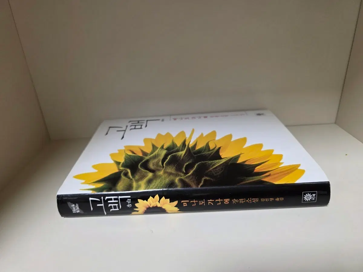 미나토 가나에) 고백