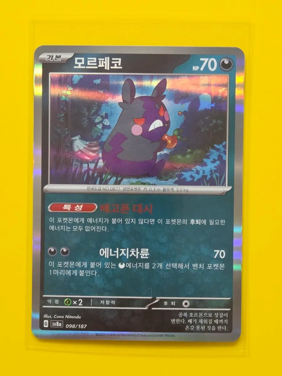 포켓몬카드 sv8a 모르페코
