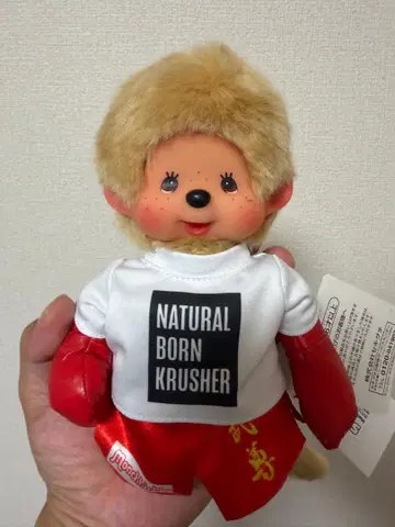몬치치 봉제 인형 복서 타케루 콜라보