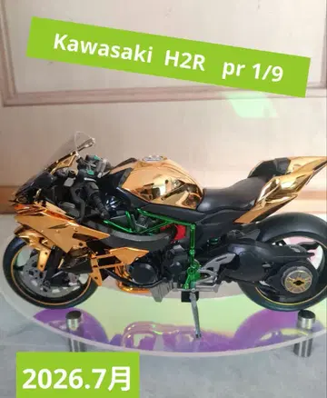 H2R Ninja 1/9 합금 모형 / Premier