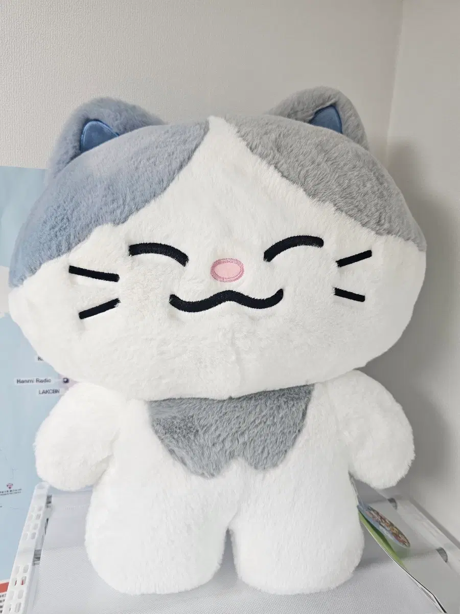 엔시티드림 드리미즈 대왕 러묘