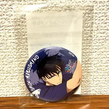 나 혼자만 레벨업 나레베 오키나와 애니메이션 캔뱃지 성진우