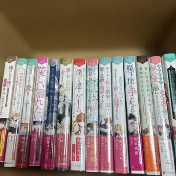 bl 소설 묶음 판매