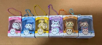 치이카와 초코 박스 묶음 판매