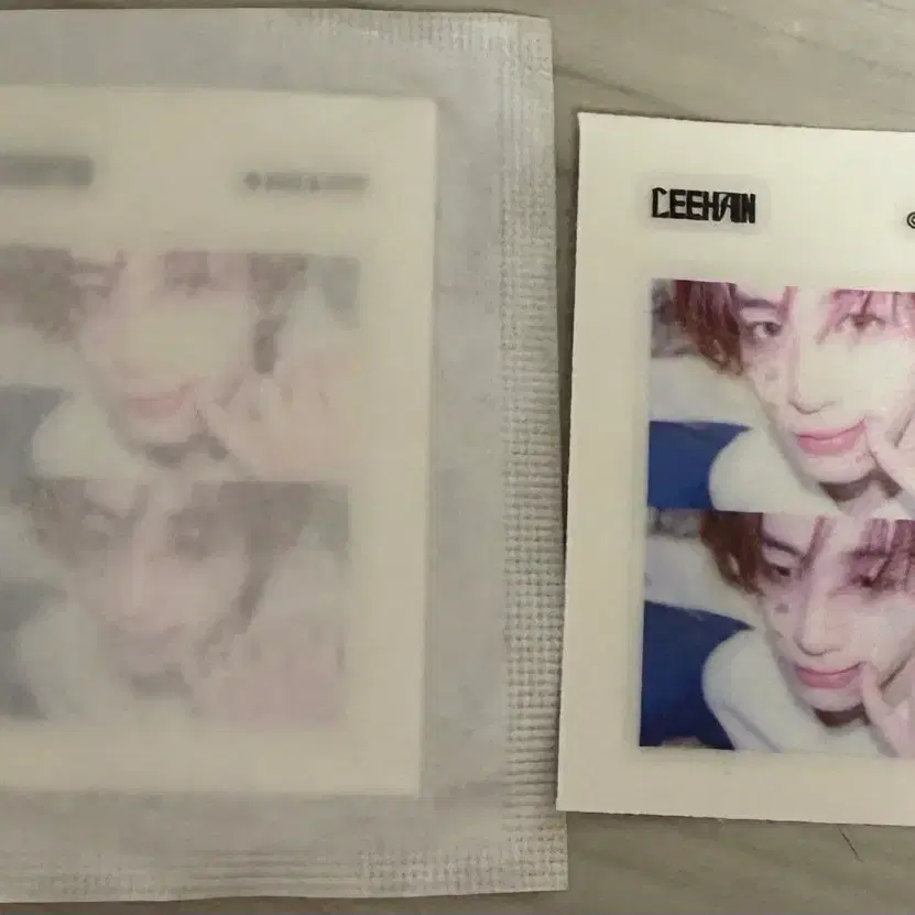보넥도 띠부씰