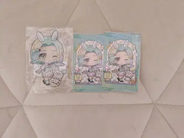 그노시아 파보테리아 유리 묶음 판매