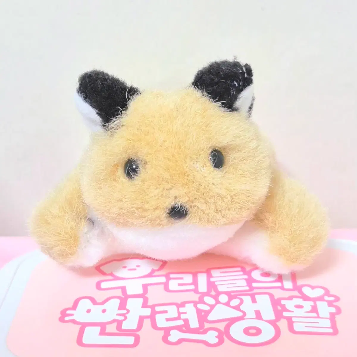 고전 빈티지 보송 포동 아기 여우 인형