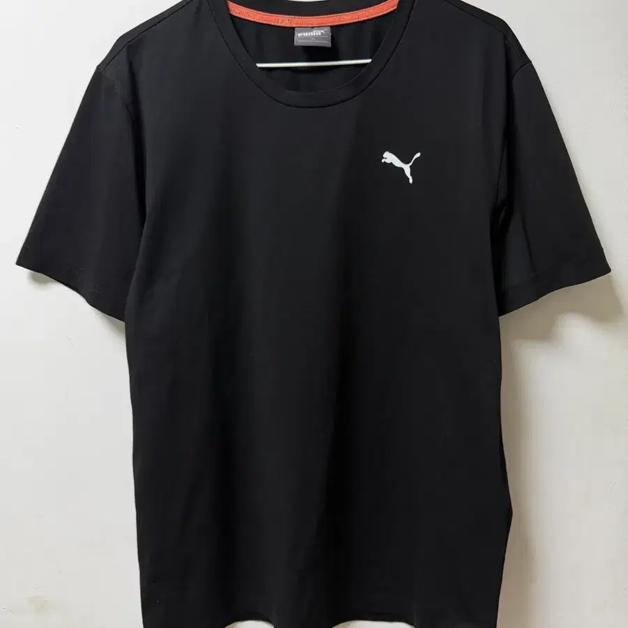 퓨마 (8039)