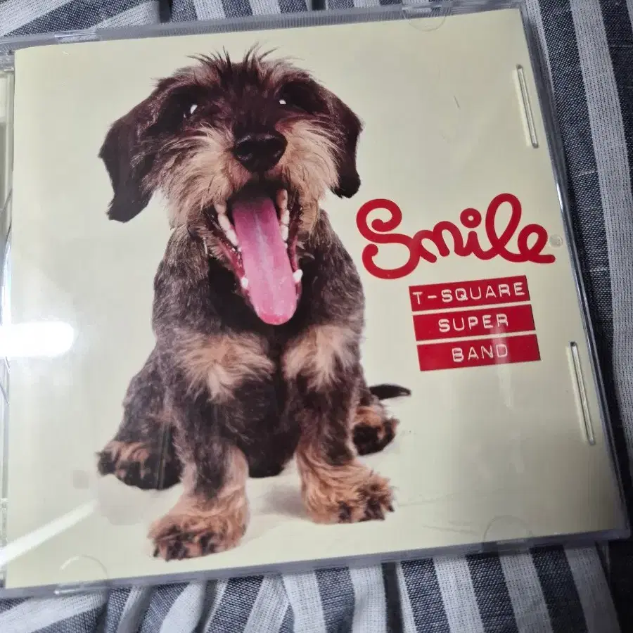 티스퀘어(smile) 음반시디