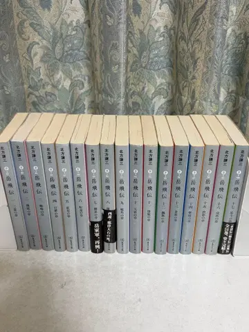 악비전 문고 전권 세트