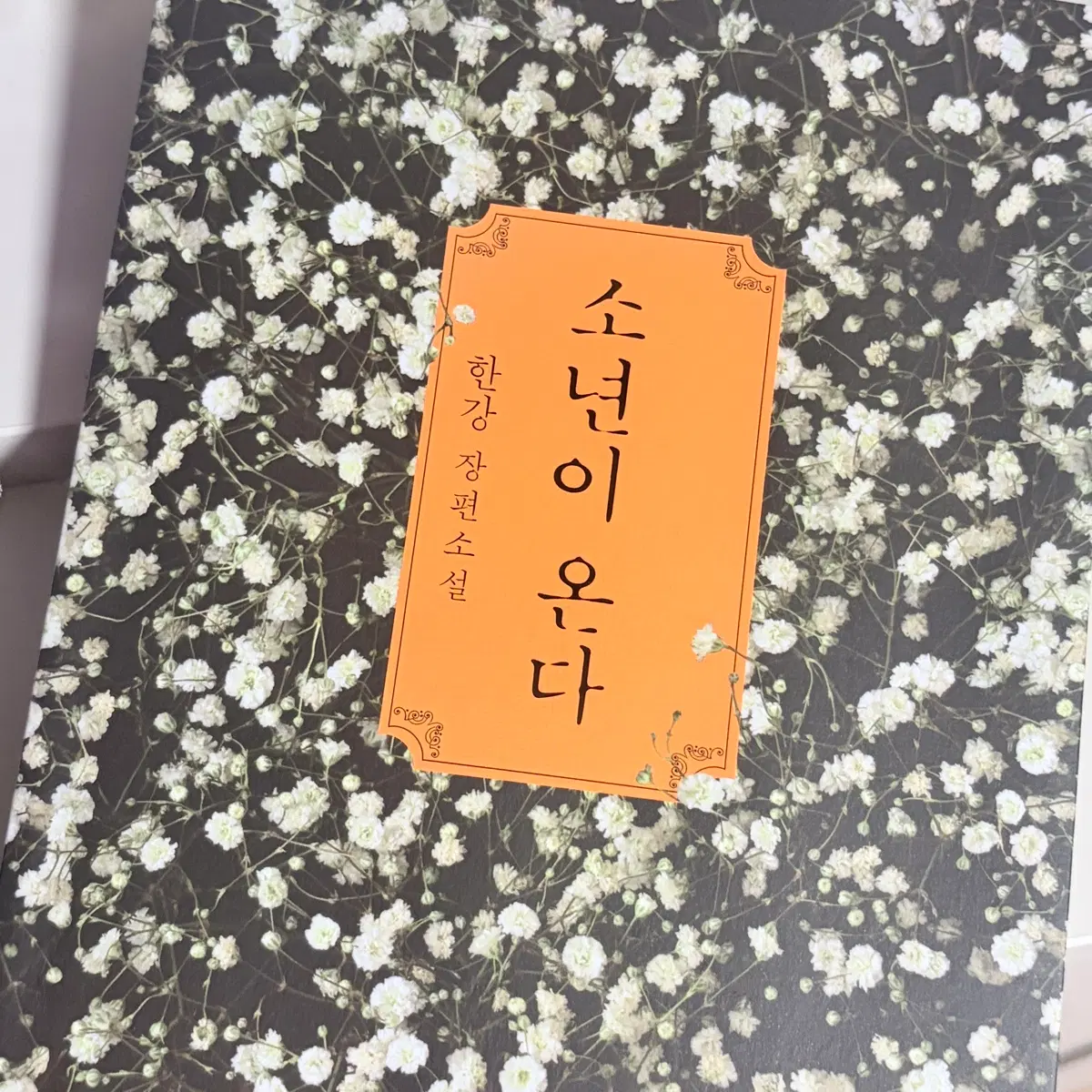 한강 / 소년이 온다