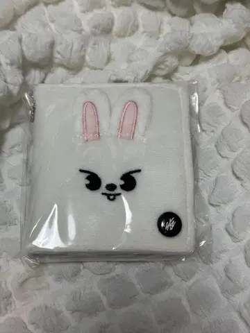 Stray Kids Leebit 사진 카드 케이스 SKZOO
