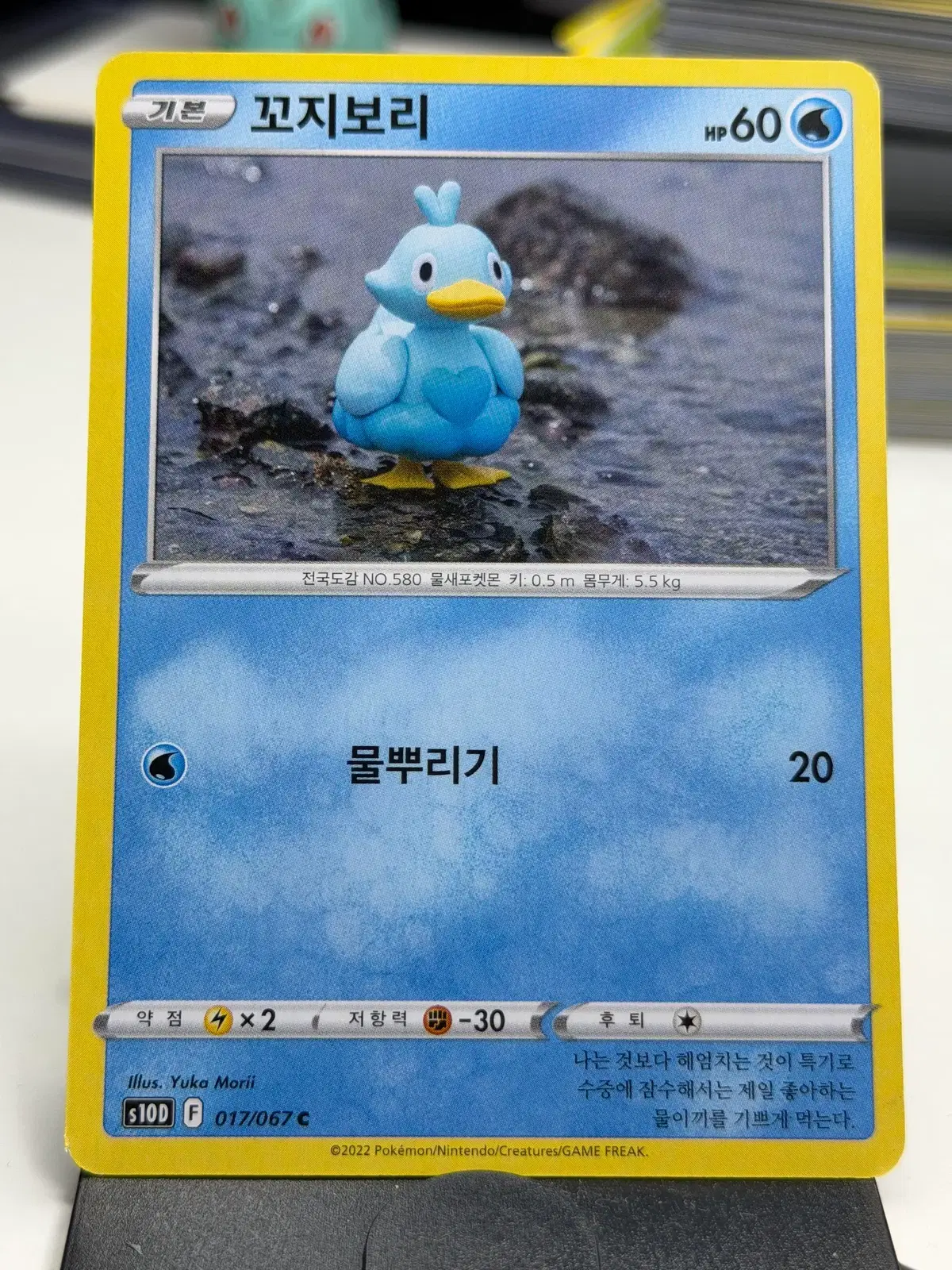 꼬지보리 s10D 017/067 C (400원)
