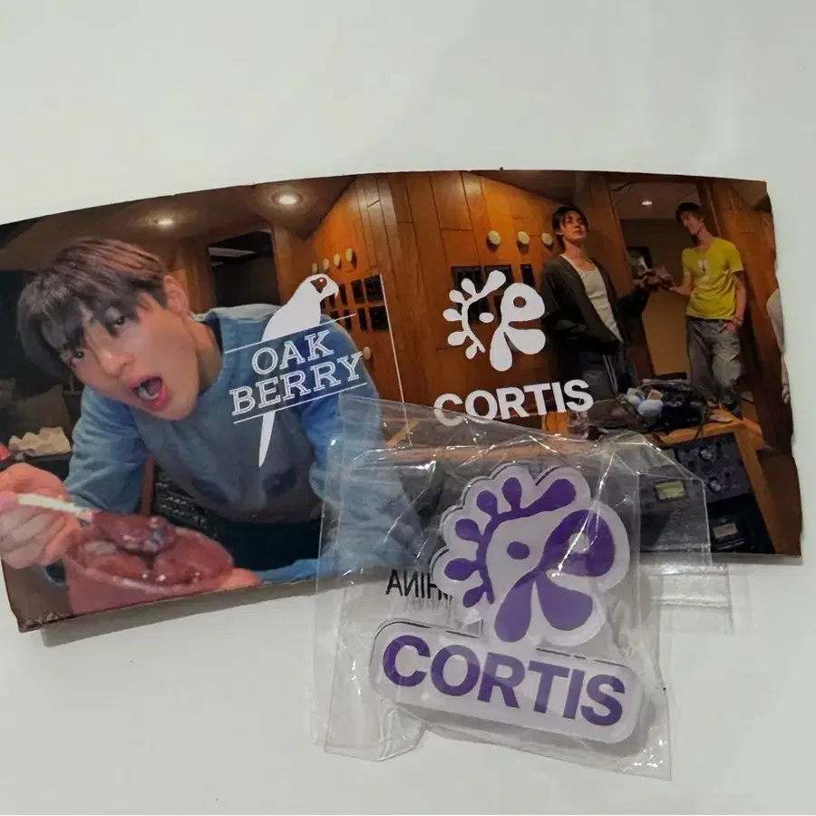 CORTIS 코르티스 오크 일괄 양도