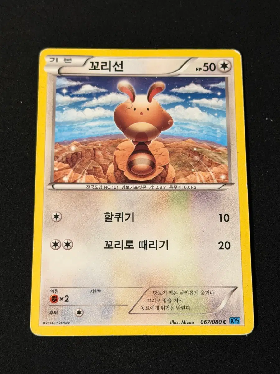 고전 포켓몬카드 꼬리선
