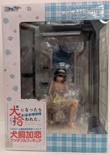 박스형 딸 이누카이 카렌 원더풀 피규어 PVC