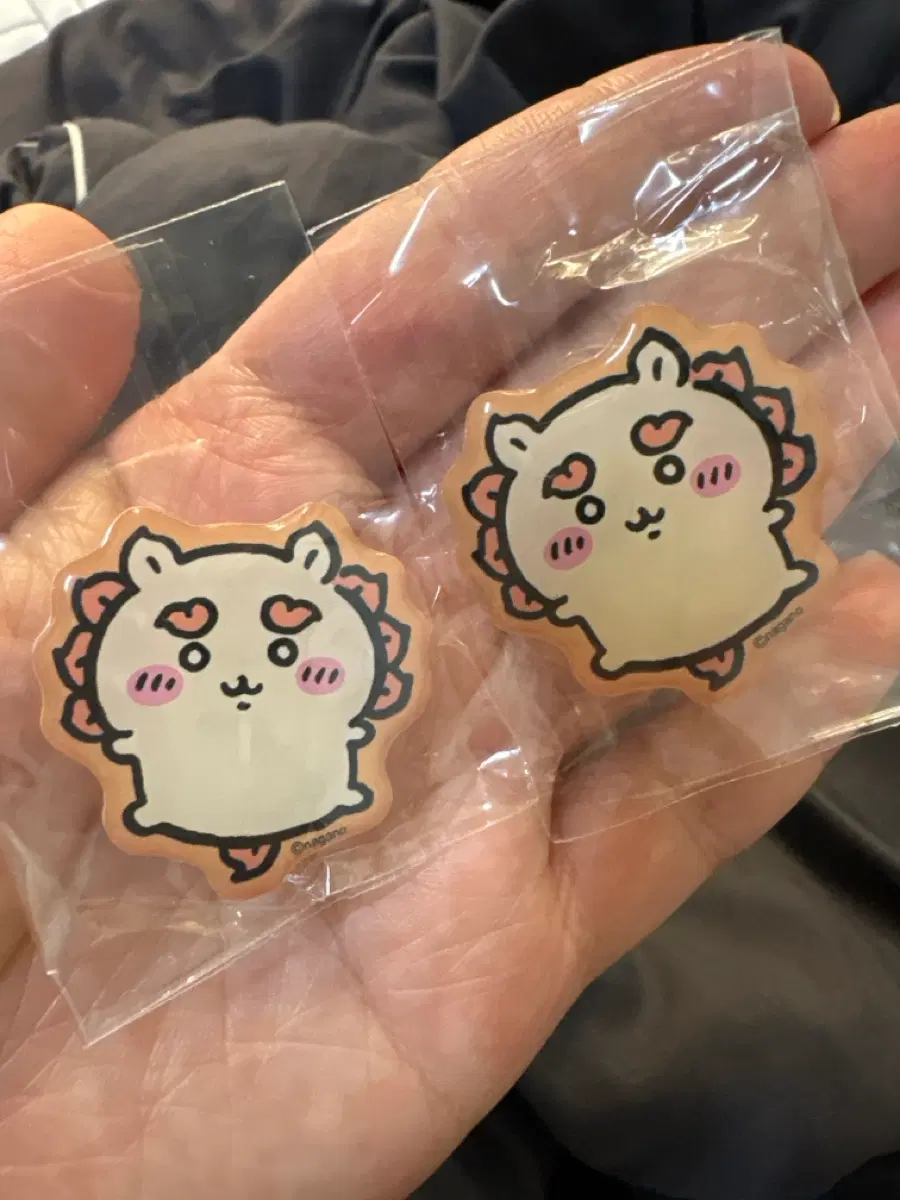 치이카와 자석 데코참 시사