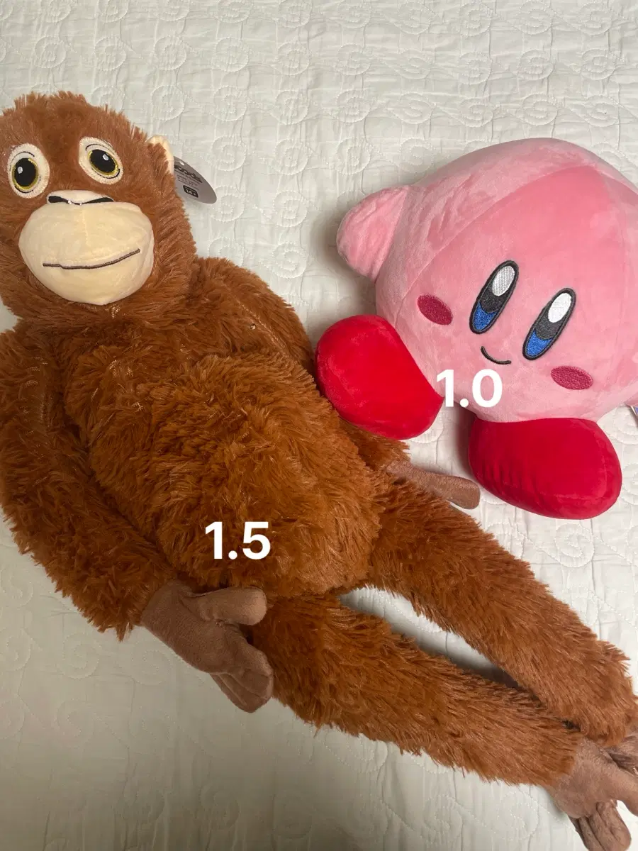 봉제 인형 양도
