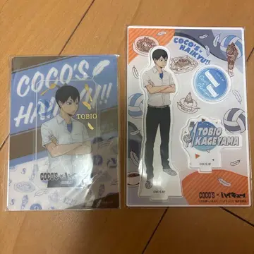 하이큐 코코스 COCO'S 아크릴 스탠드 클리어 카드 카게야마 토비오