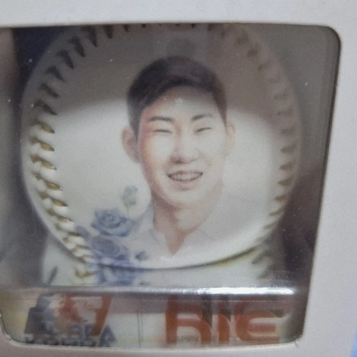 박민우 일러스트볼 원가분양