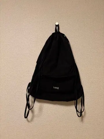 haag 냅색 블랙 한국