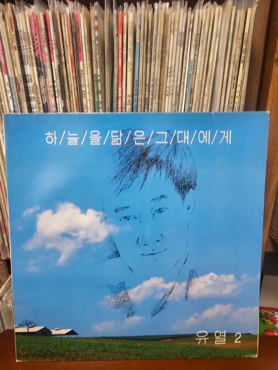 유열 하늘을 닮은 그대에게 2집 LP