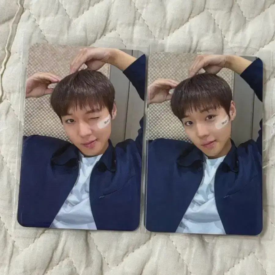 박지훈 위드뮤 대면 포카 리본하트 일괄양도
