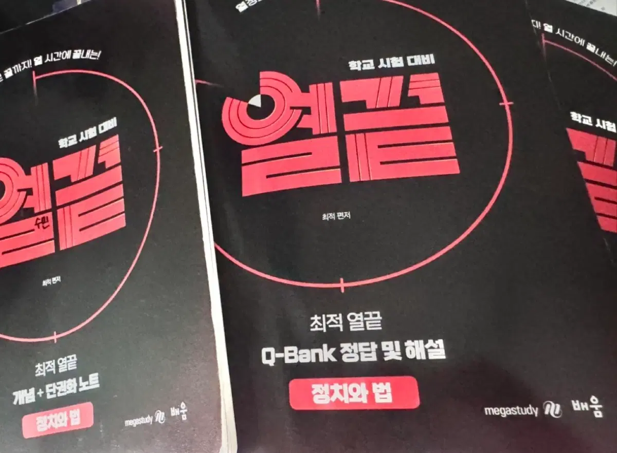 최적 열끝 정치와 법 개념+단권화 노트
