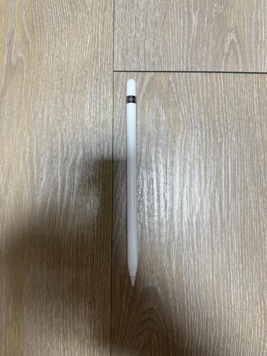 아이패드 펜슬 1세대