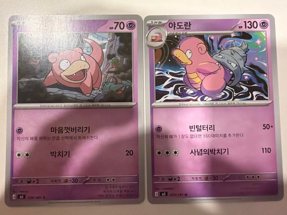 포켓몬카드 야돈 & 야도란