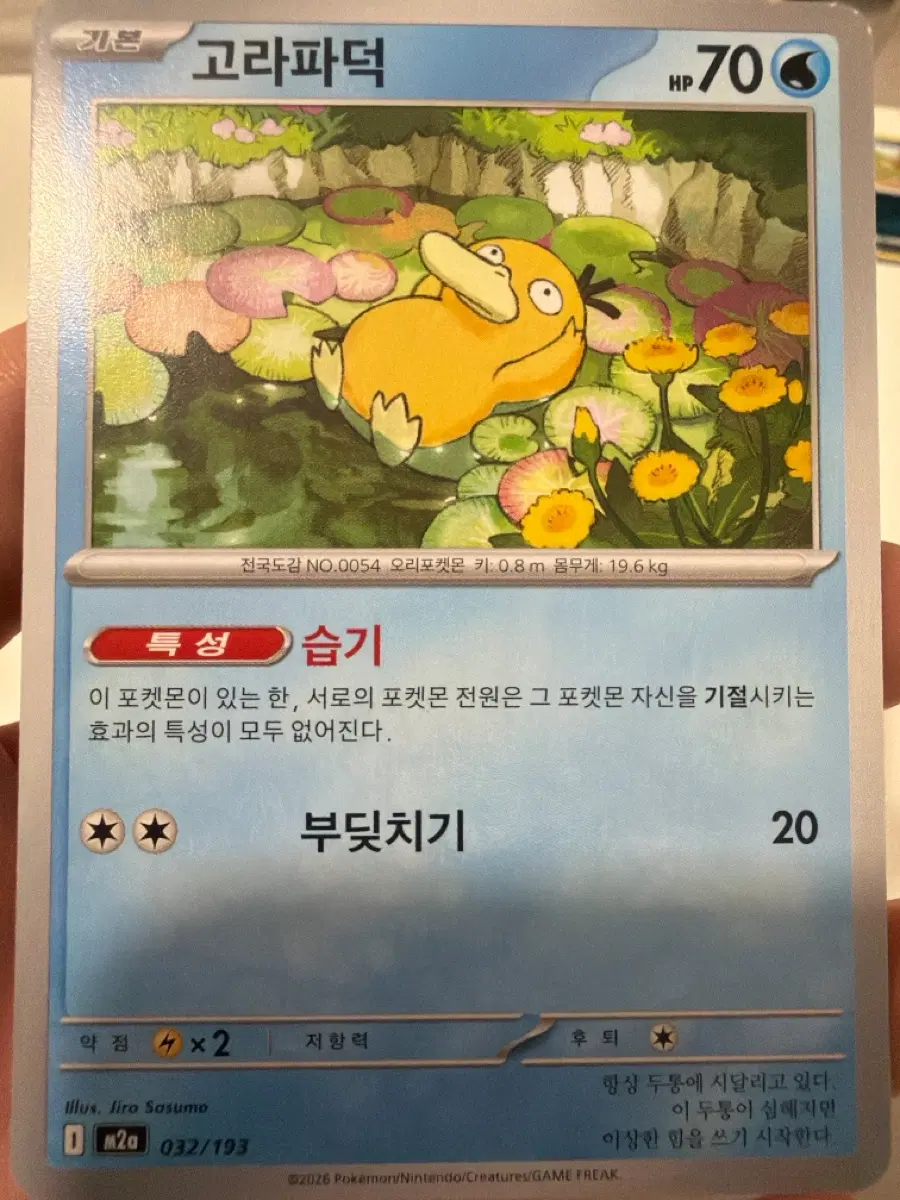 포켓몬카드 고라파덕