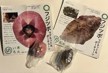네이처 테크니컬러 미네후지츠보 아카후지츠보