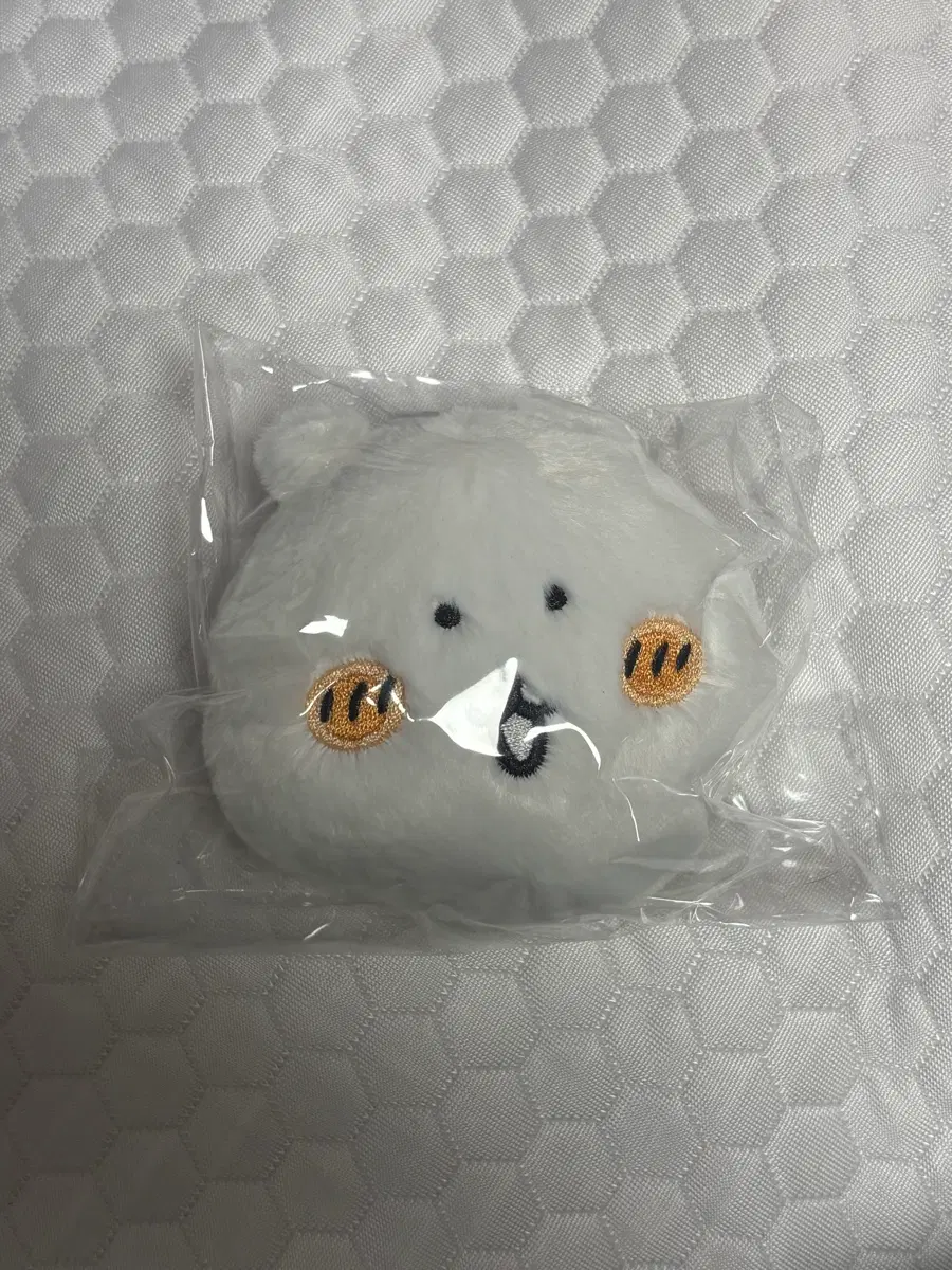 농담곰 쿠지 E상 인형 키링 누이 나가노쿠마 미개봉