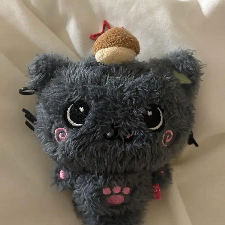 위시돌 쿠리