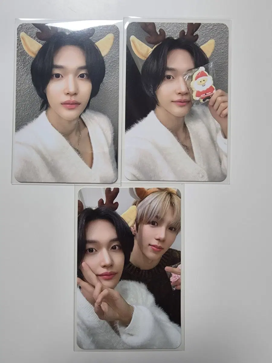 라이즈 원빈 포카 일괄양도해요