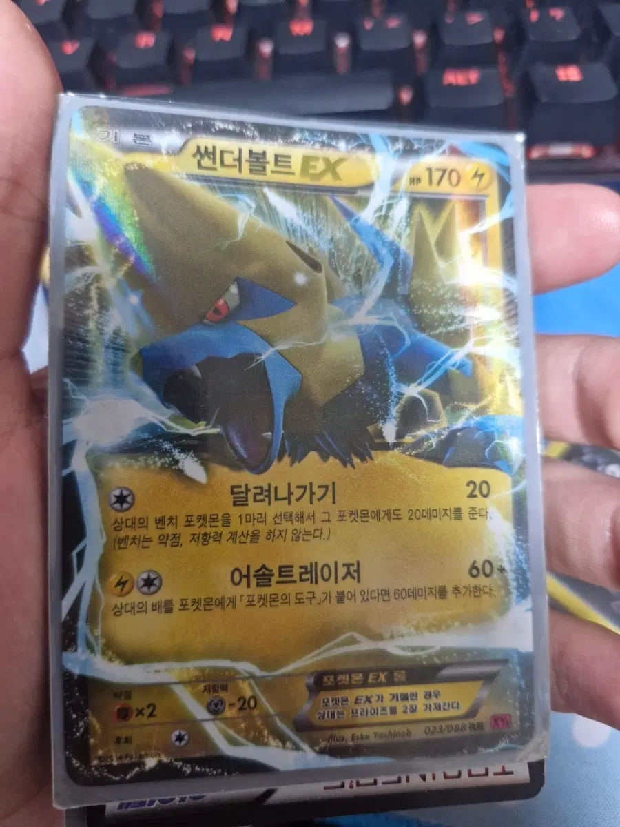 썬더볼트 EX + 메가진화