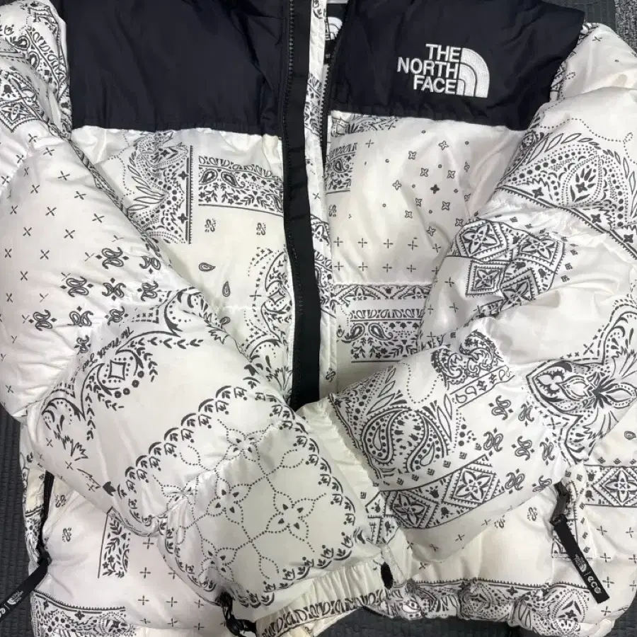 90s Japan The North Face Ascent Padding | Bunjang Global