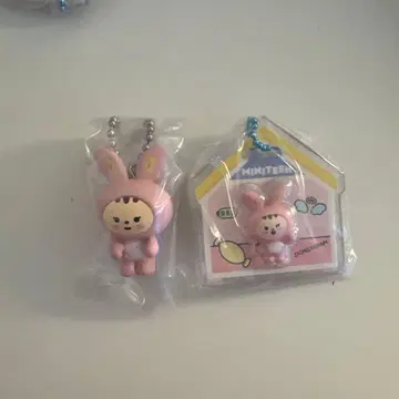 MINITEEN 미니틴 가챠 패키지 참 정한
