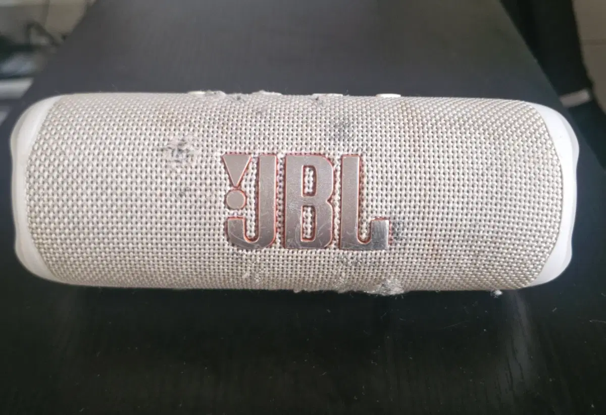 JBL 플립 6