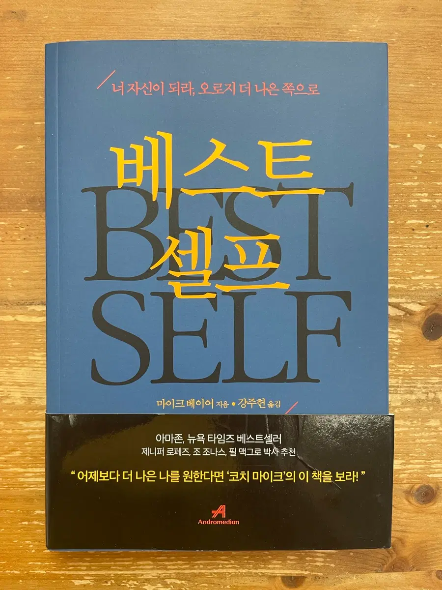 베스트 셀프 - 마이크 베이어
