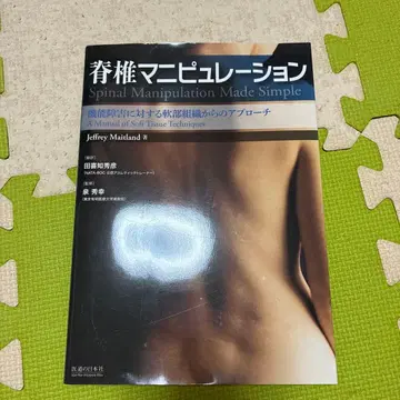 척추 교정 연부 조직에서의 접근