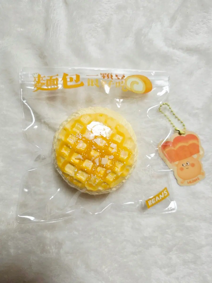 beans 빈즈 말랑이