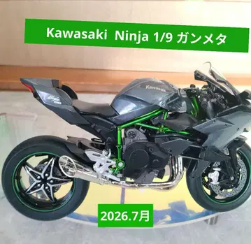 Ninja 1/9 Kawasaki / 다이캐스트 모형 완성품