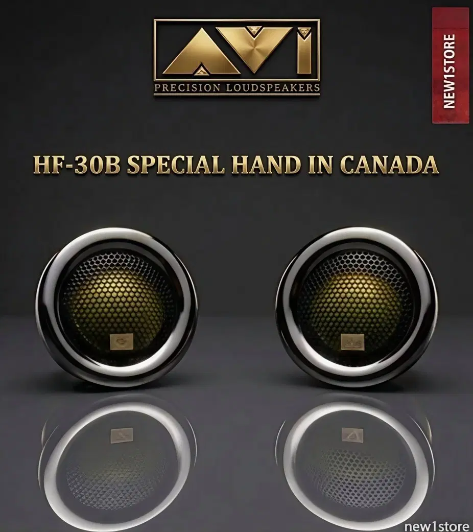 AVI HF-30B 스페셜 스피커