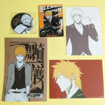 BLEACH 쿠로사키 이치고 브로마이드 엽서 스탯 카드 캔뱃지
