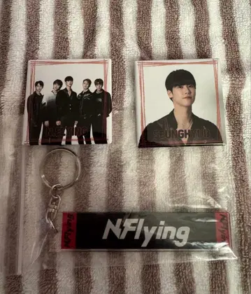 N.Flying 캔뱃지: 키링