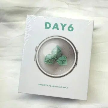 DAY6 응원봉