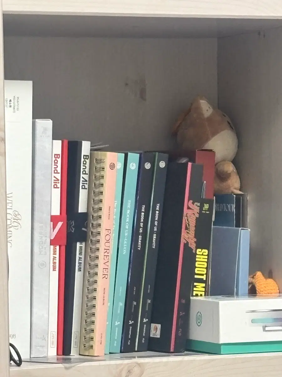 데이식스 굿즈