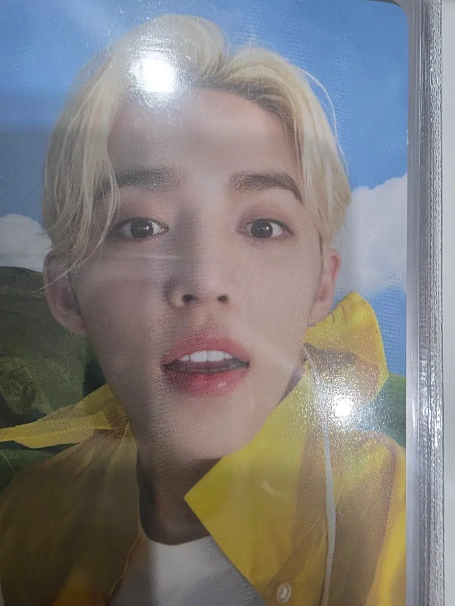 세븐틴 에스쿱스 포토카드 양도