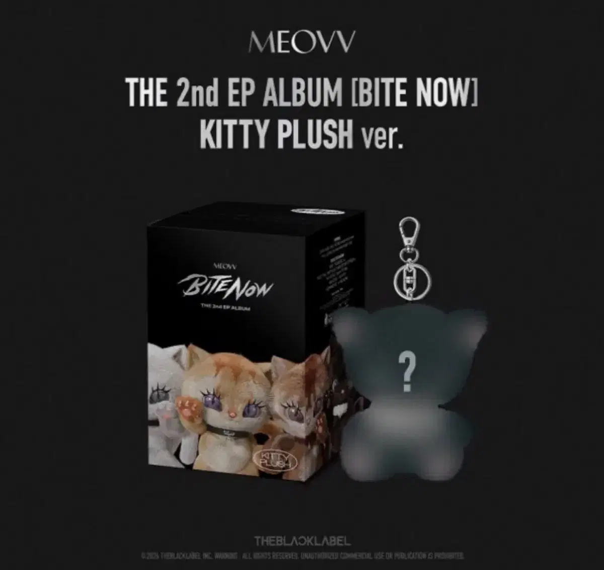 MEOVV 미야오 키티 플러쉬 ver KITTY PLUSH 미개봉